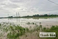 Xã Hồ Vương quán triệt, triển khai Nghị quyết Đại hội đại biểu Đảng bộ xã